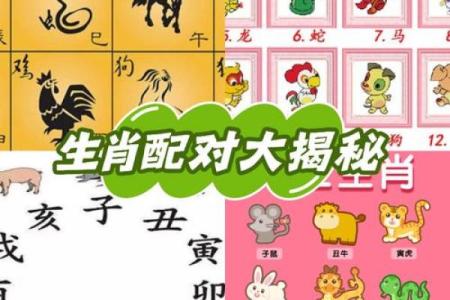 属相配对表