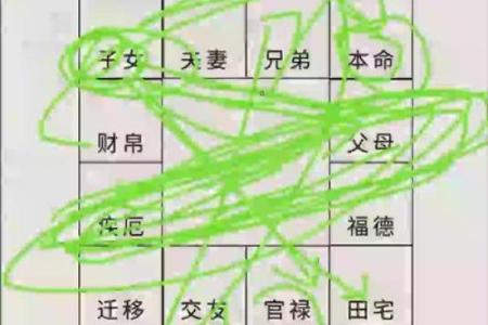 紫微斗数诸星落诸宫之：天府星官禄宫详解