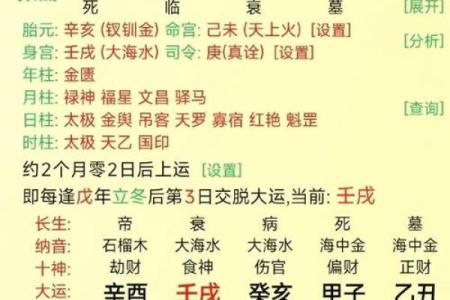 八字大运
