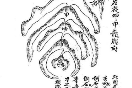 龙的风水_民间说年景有几龙治水