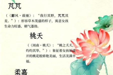 女孩子好听的名字-名字大全-姓名学-华易算命网姓名