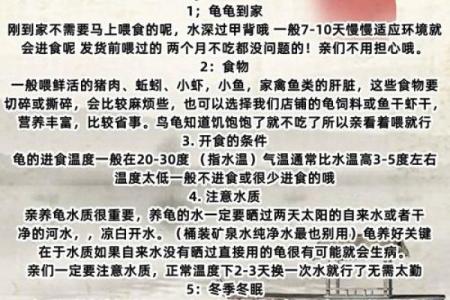哪个生肖不宜养龟风水