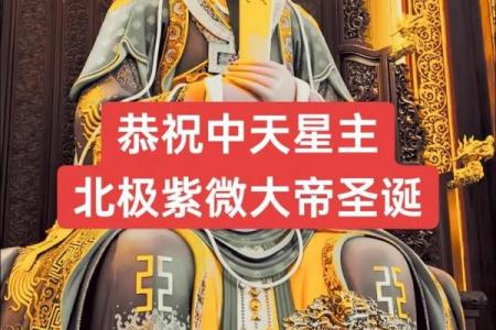 紫薇星君圣诞日