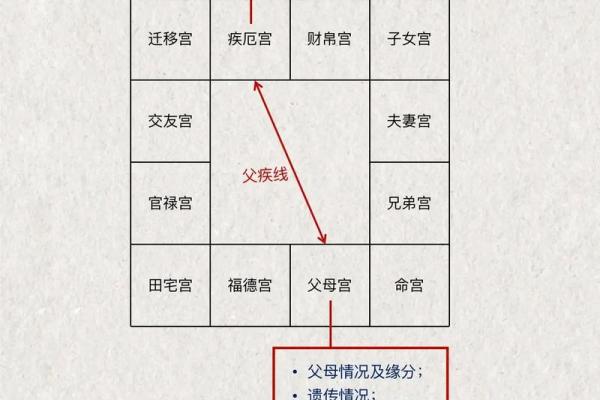 紫薇斗数飞禄