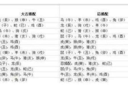 96年鼠和98虎八字合不合 96年鼠和98虎八字合不合朋友