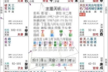 长寿的紫薇斗数