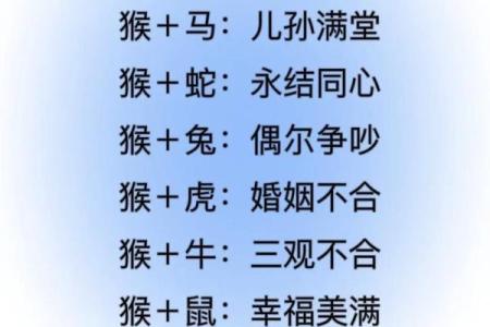 1994年属什么生肖的宝宝 1994年属什么生肖配对男