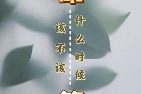 算命说的话该不该相信呢