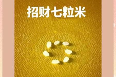 风水七粒米招财最灵的方法是什么意思