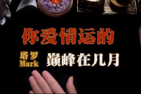 塔罗测试：最近你的恋爱运如何？