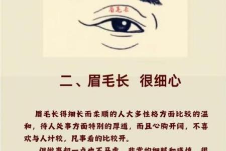 眉毛算命