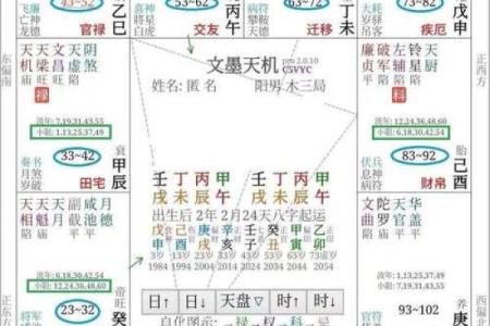 紫薇斗数飞禄