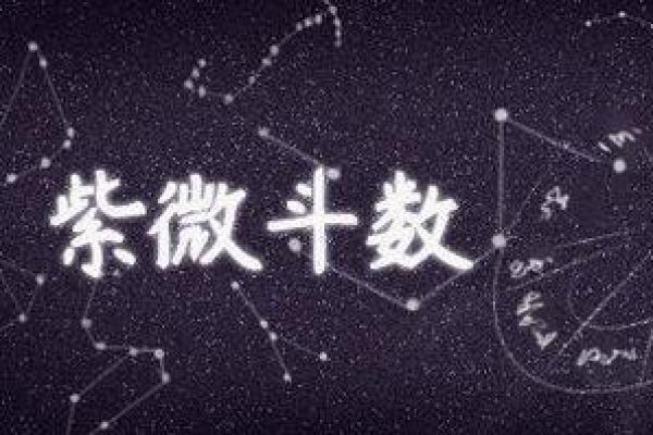 紫薇斗数各个派别