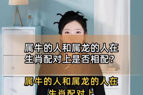 牛跟什么生肖配对最好 生肖牛最佳配对