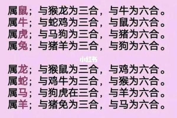 生肖名字配对姻缘 生肖取名字大全？
