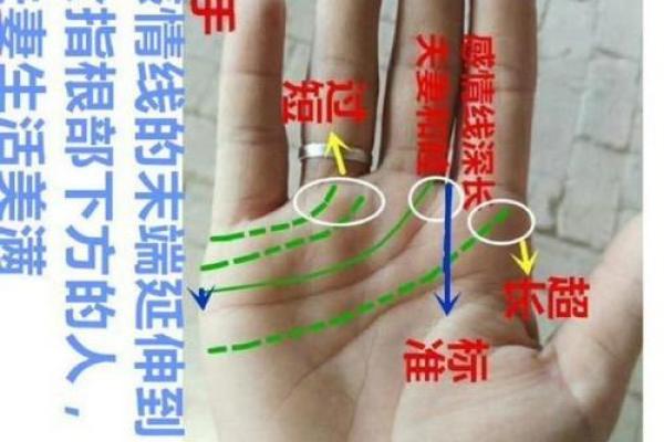 如何看掌纹线算命女性 智慧线长度适中进取心强