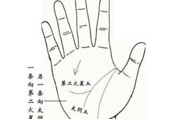 如何看掌纹线算命女性 智慧线长度适中进取心强