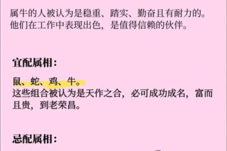 1992年属什么生肖配对