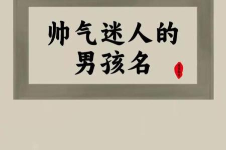 2019年5月30号卯时出生的男孩如何起名姓名