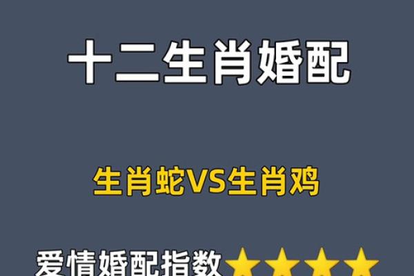 鸡蛇生肖配对指数 鸡和蛇属相婚配指数