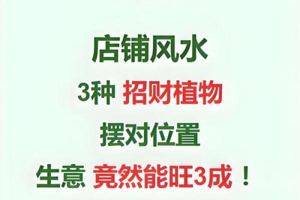 店铺布局提升财运风水
