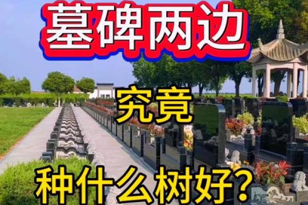 如何选墓地风水？