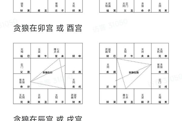 紫微斗数之各星曜所主行业:看合伙 紫微斗数之各星曜所主行业:看合伙