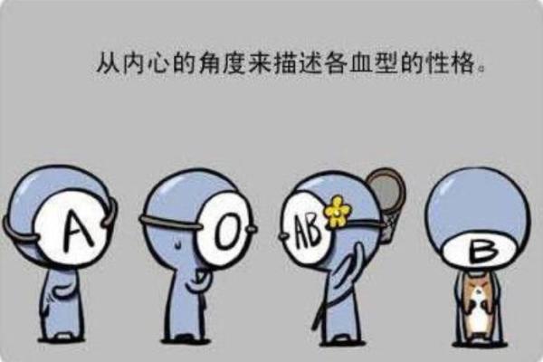 属鼠A血型的人性格与事业姻缘