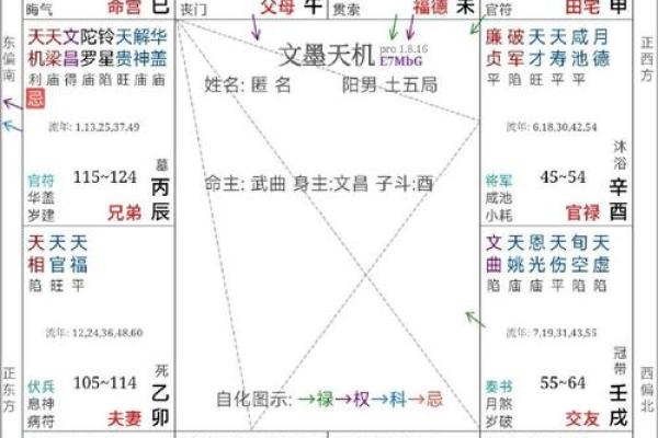 紫微斗数自由 紫微斗数论断？