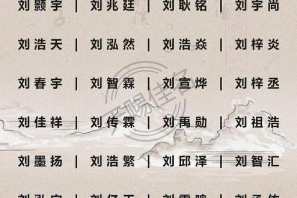 晚上1点出生的属鼠男孩取名大全姓名