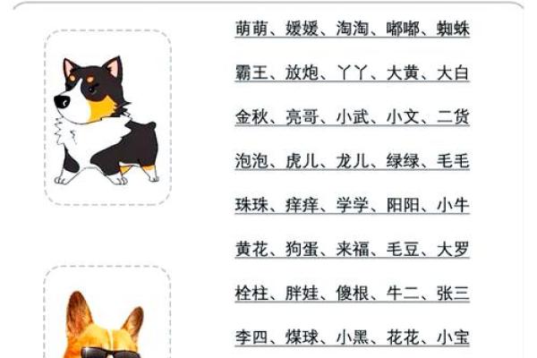 早上八点出生的属狗男孩怎么取名，用什么字好姓名