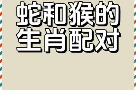 鸡蛇生肖配对指数 鸡和蛇属相婚配指数