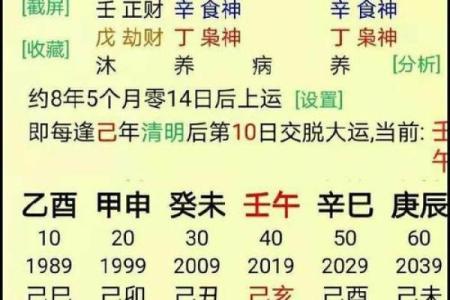 女生男命八字分析，解读姻缘婚姻，财运事业，详细分析命盘特点