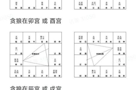 紫微斗数之各星曜所主行业：看合伙