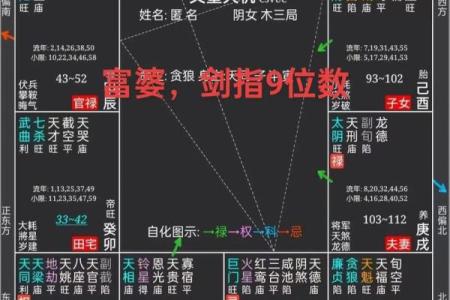 紫薇斗数大运音频