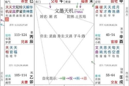 紫微斗数自由 紫微斗数论断？