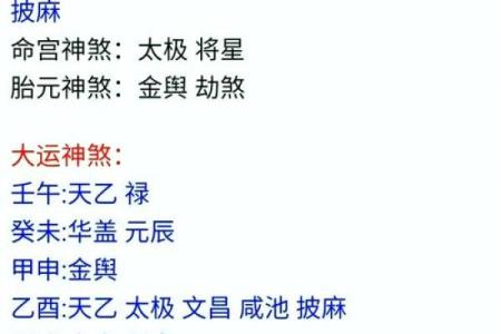 八字算命软件下载