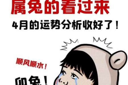 2024年属兔星座运势