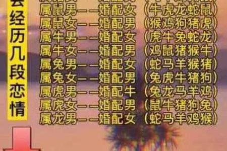 属龙和什么属相最配对 属龙和什么属相相冲