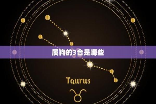 属狗星座性格特点详解及相应配对建议