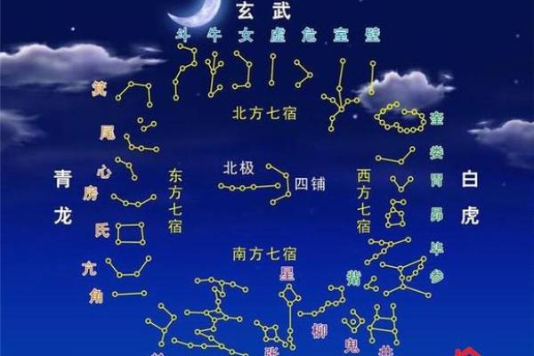 紫微斗数，解析紫薇南斗星