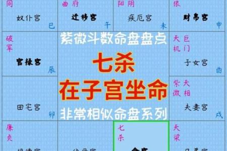 紫薇命盘详解免费版