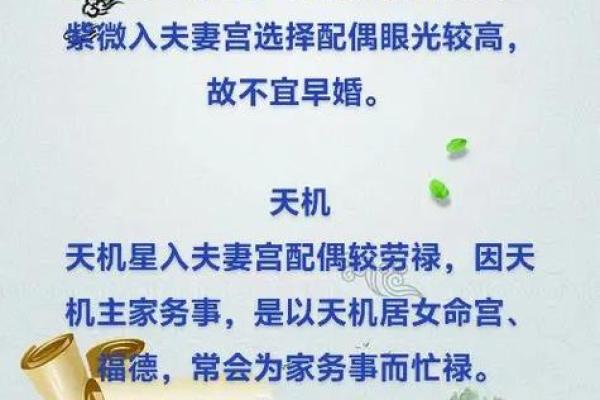 紫薇落在夫妻宫