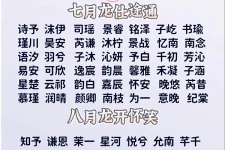 属龙子时出生的男孩要怎么取名-用什么字好-姓名