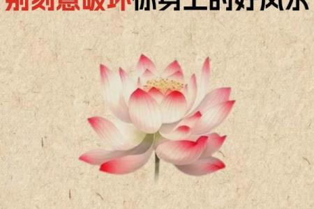 常用的风水辟邪方法，看试一试