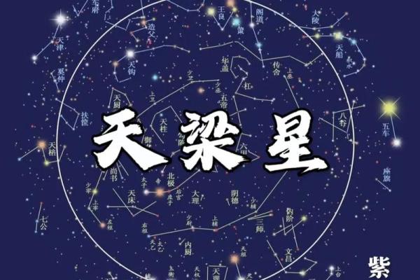 紫薇斗数怎么看一个人啥时买车