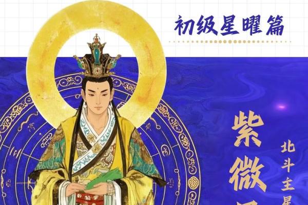 紫薇斗数+巨门星
