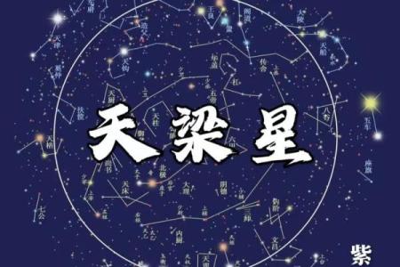 紫薇斗数视频合集