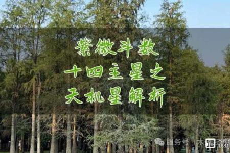 紫微斗数之福德宫与诸星，天机星在福德宫是什么意思？