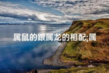 属鼠和属龙配对合适吗-
